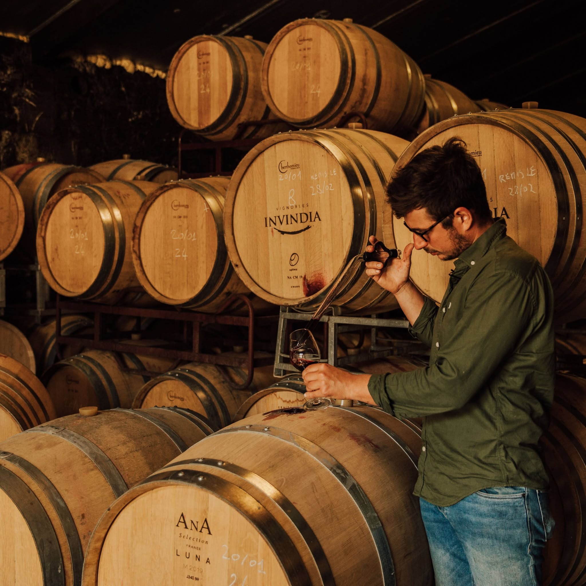 Wine barrels